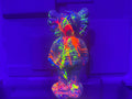 Neon Companion – 10” Blacklight Edition
