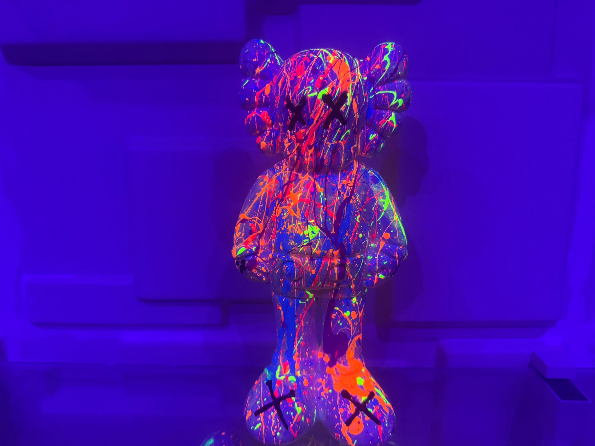 Neon Companion – 10” Blacklight Edition